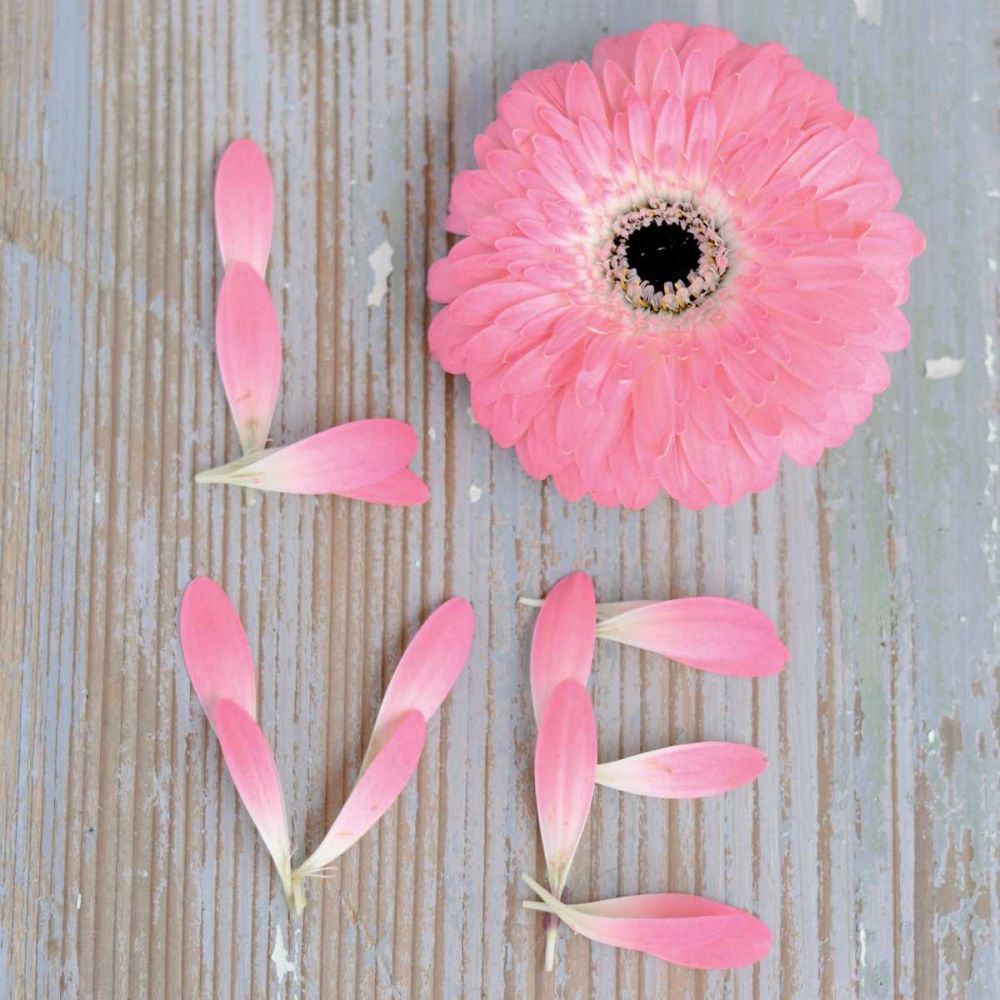Love art print by BRAUN Studio for $57.95 CAD