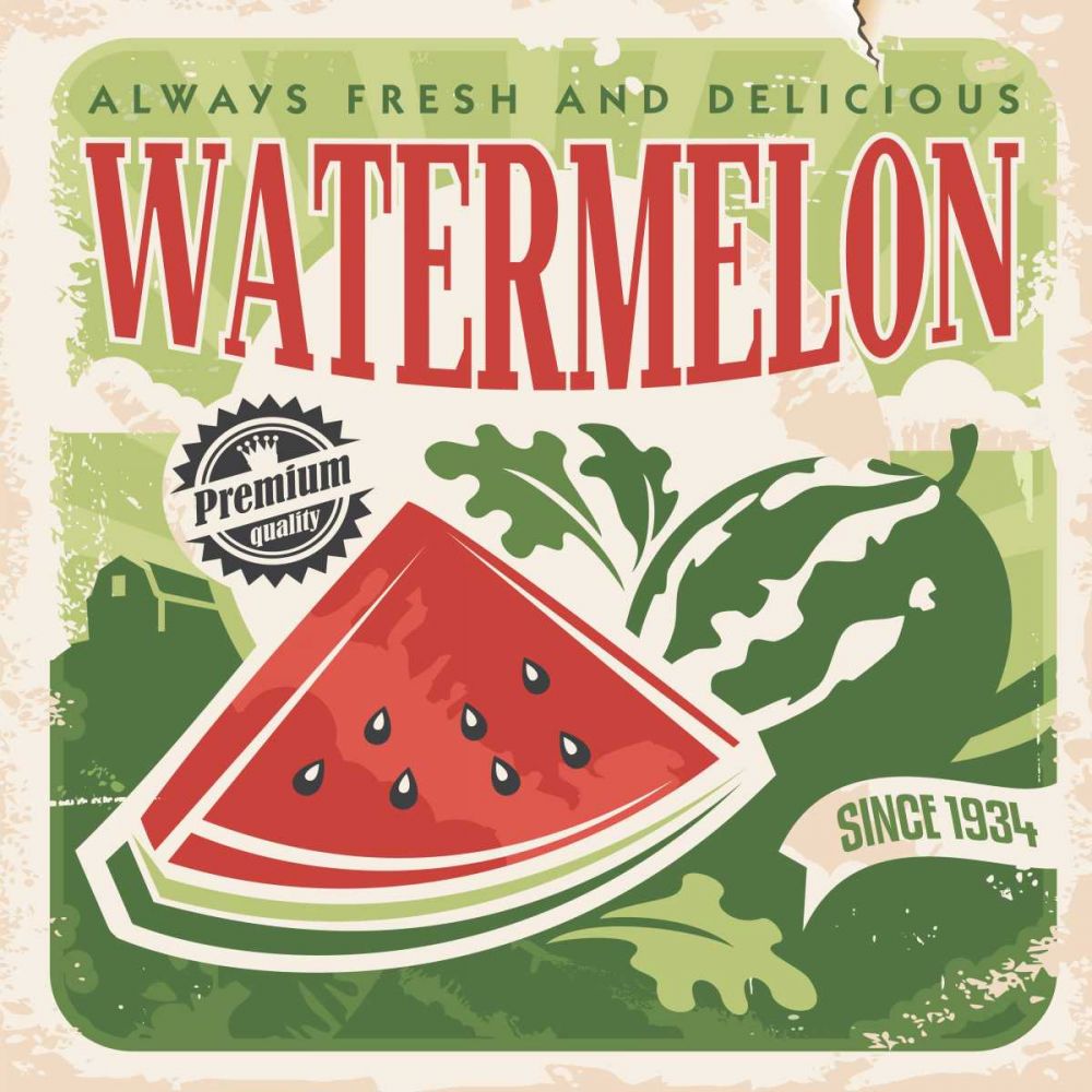 Watermelon art print by BRAUN Studio for $57.95 CAD