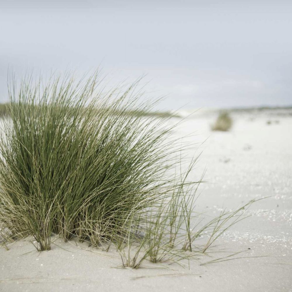 Plage 6 art print by BRAUN Studio for $57.95 CAD