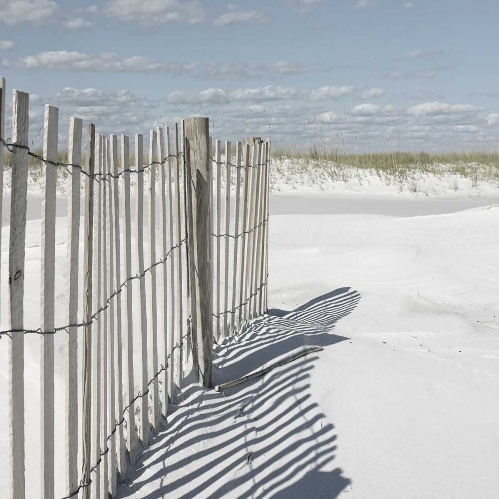 Plage 9 art print by BRAUN Studio for $57.95 CAD