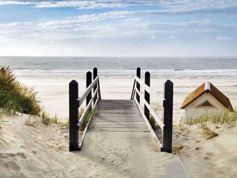 Plage art print by BRAUN Studio for $57.95 CAD