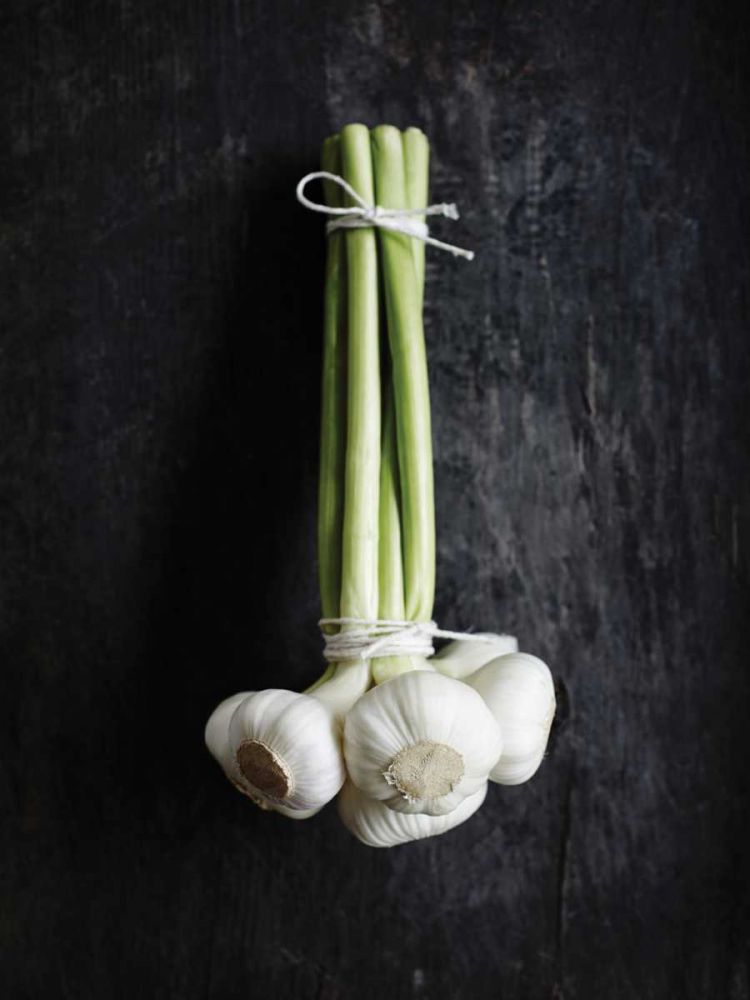 Food 4 art print by BRAUN Studio for $57.95 CAD