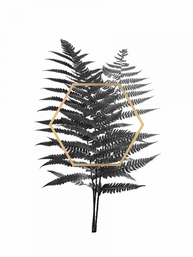 Fern leaf with gold art print by BRAUN Studio for $57.95 CAD
