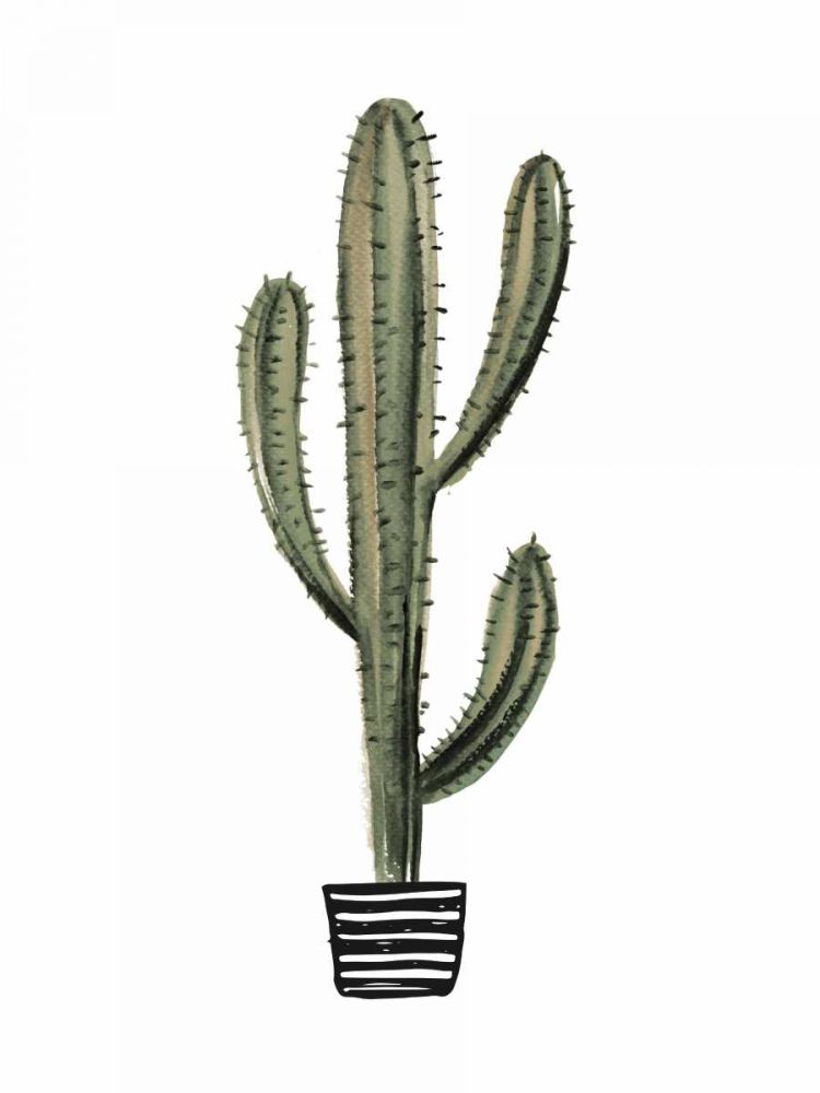 Cactus 3 art print by BRAUN Studio for $57.95 CAD