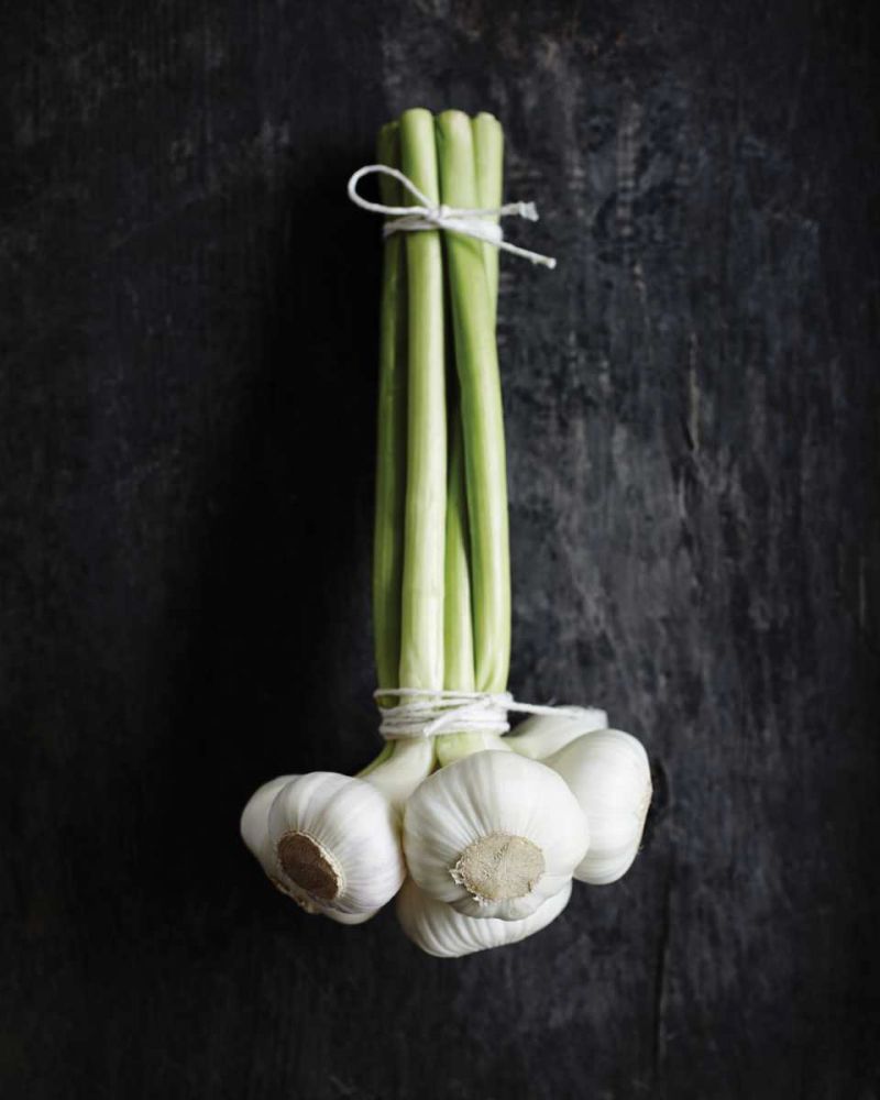 Food 4 art print by BRAUN Studio for $57.95 CAD