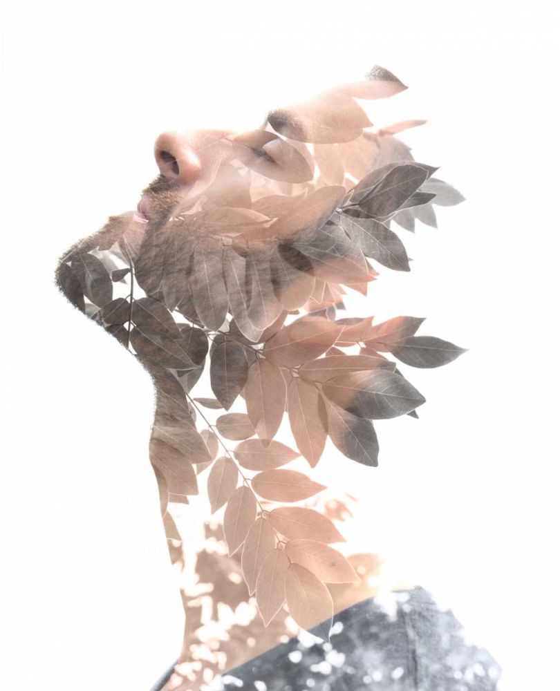 Homme et feuilles art print by BRAUN Studio for $57.95 CAD