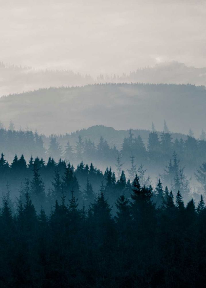 Grey Mountains art print by BRAUN Studio for $57.95 CAD