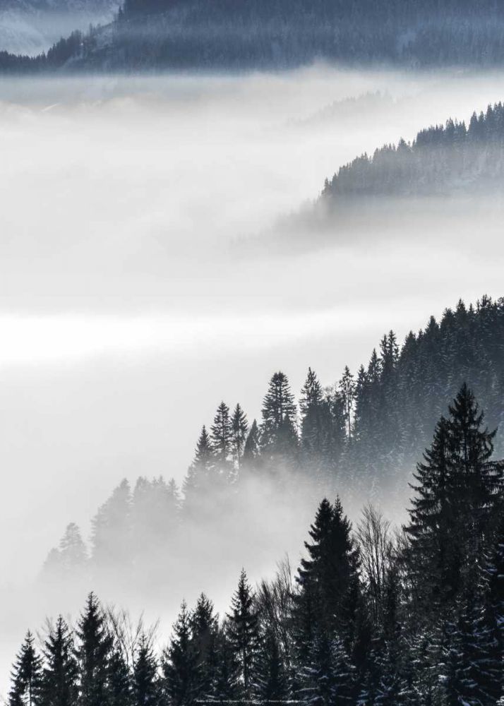 Misty Mountains art print by BRAUN Studio for $57.95 CAD