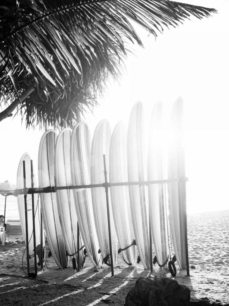 Braun Studio - Planches de surf art print by BRAUN Studio for $57.95 CAD