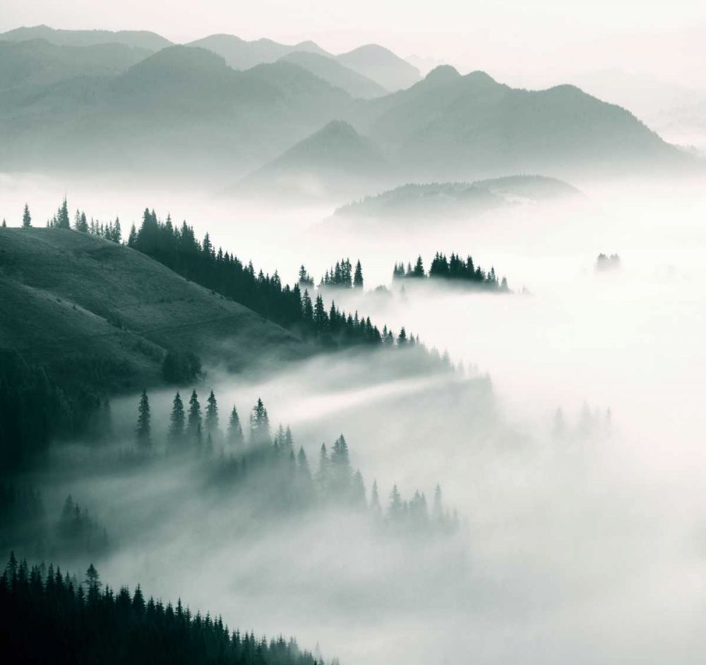 Braun Studio - Misty mountains II art print by BRAUN Studio for $57.95 CAD