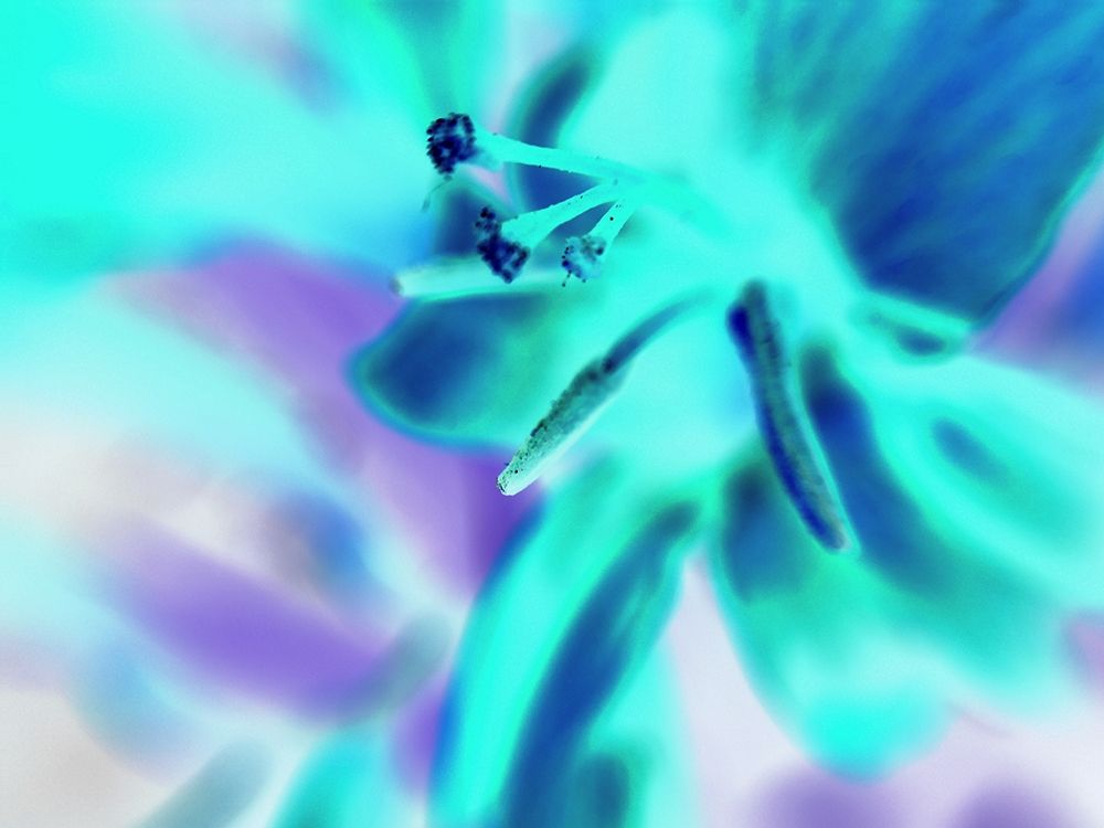 Turquoise Petals art print by Grayscale for $57.95 CAD