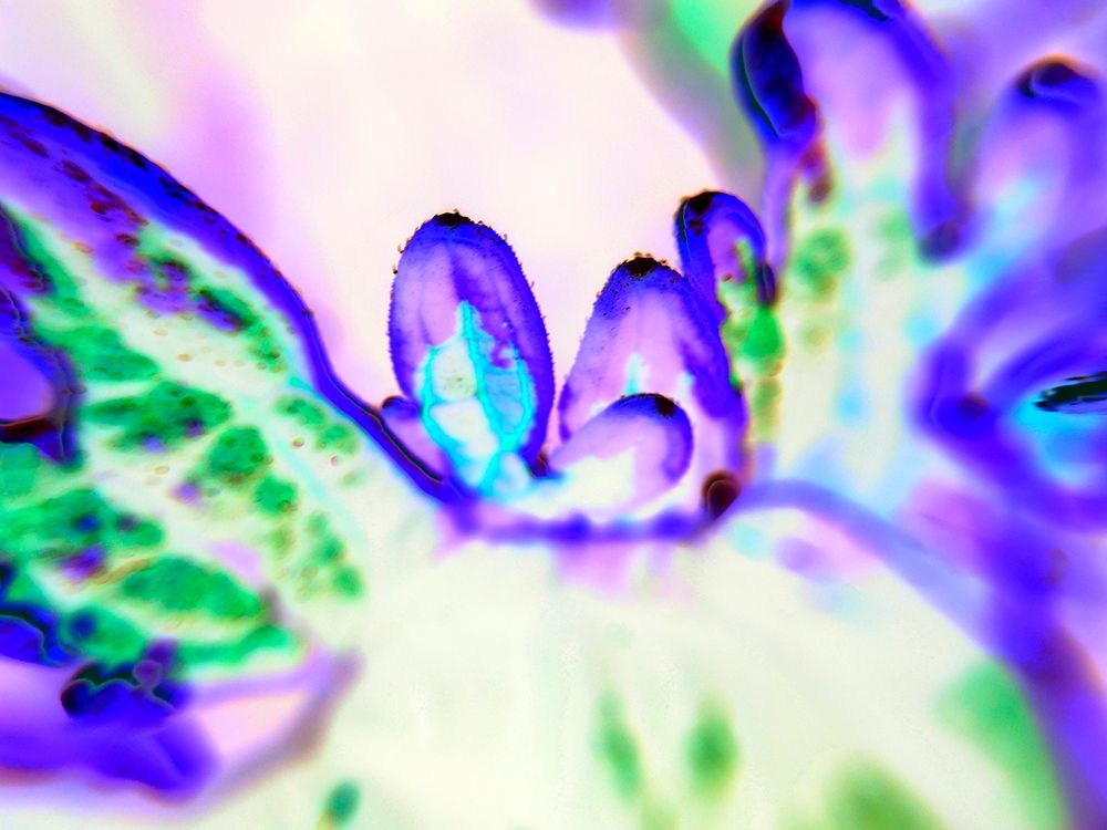 Biologic II art print by Grayscale for $57.95 CAD