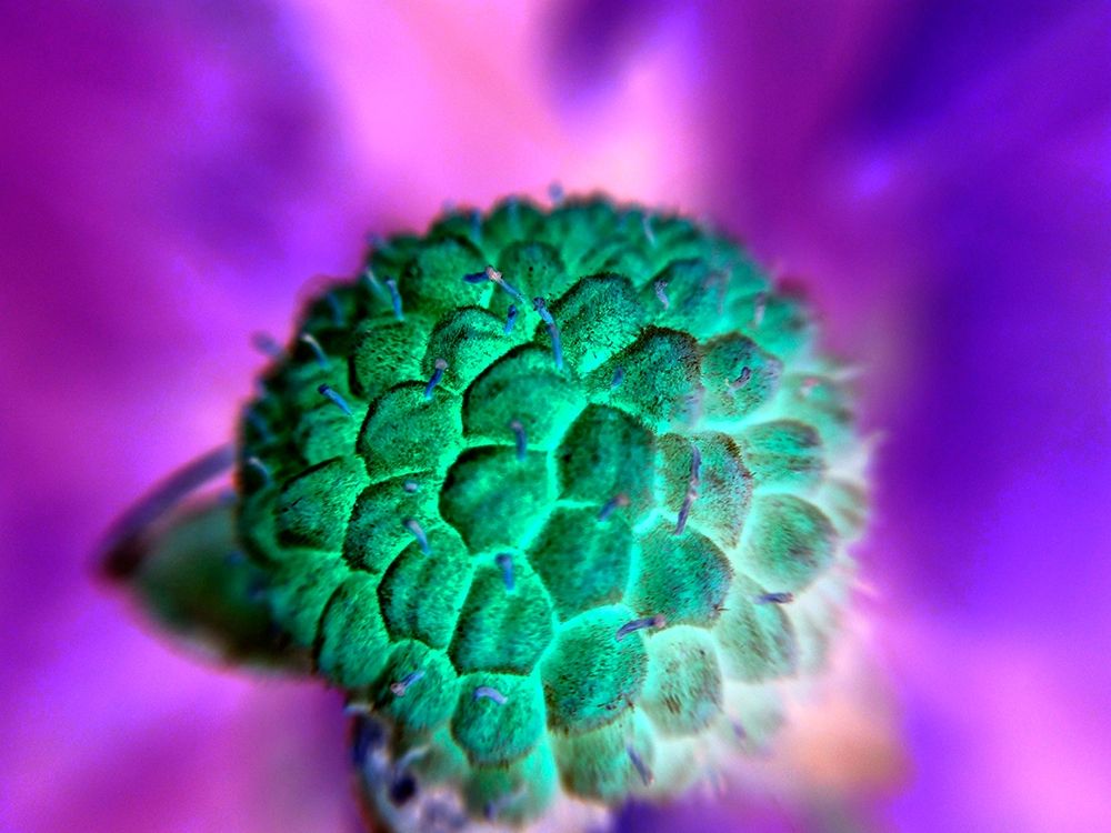 Bright Cluster I art print by Grayscale for $57.95 CAD