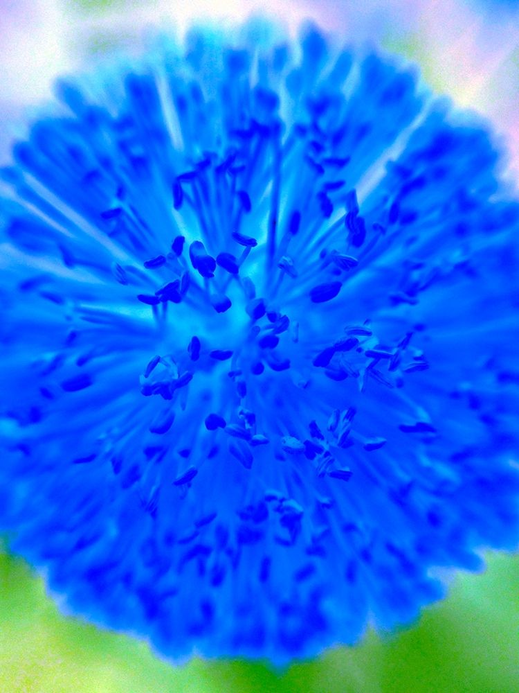 Blue Ball I art print by Grayscale for $57.95 CAD
