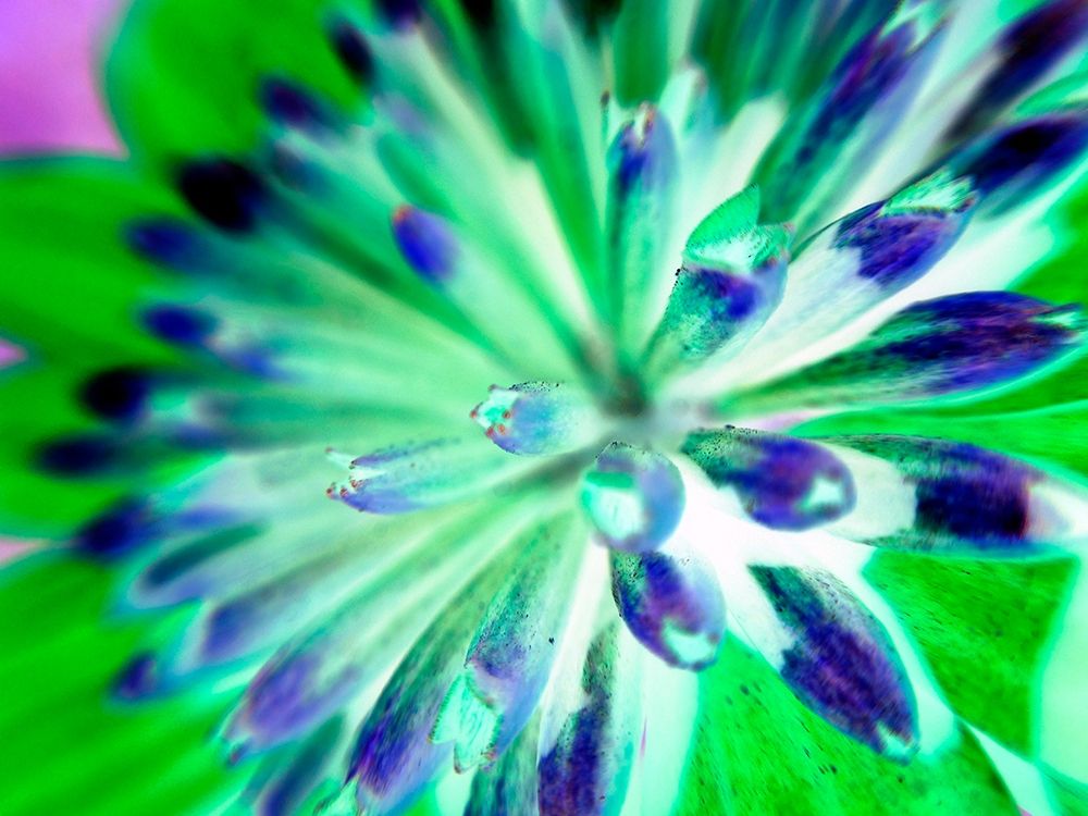 Bright Cluster III art print by Grayscale for $57.95 CAD
