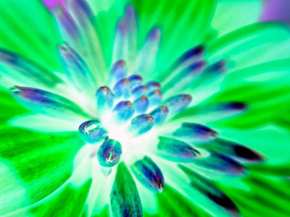 Bright Cluster IV art print by Grayscale for $57.95 CAD