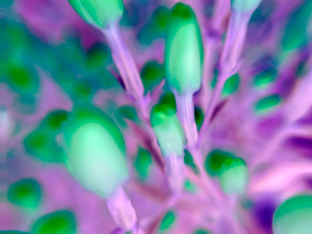 Natural Particles I art print by Grayscale for $57.95 CAD