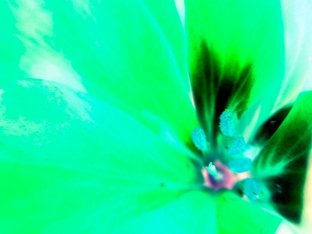 Green Leaves III art print by Grayscale for $57.95 CAD