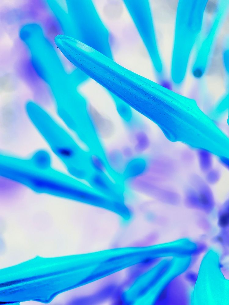 Blue Spines I art print by Grayscale for $57.95 CAD