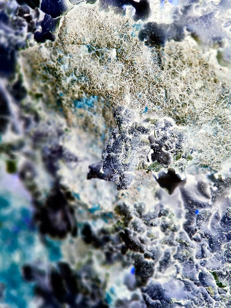 Texture Group II art print by Grayscale for $57.95 CAD