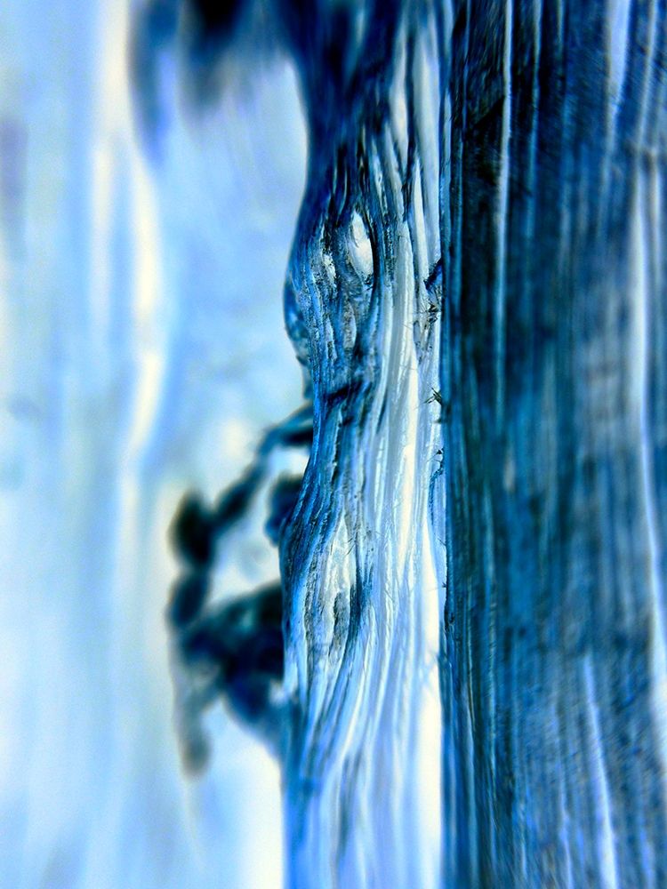 Blue Knots I art print by Grayscale for $57.95 CAD