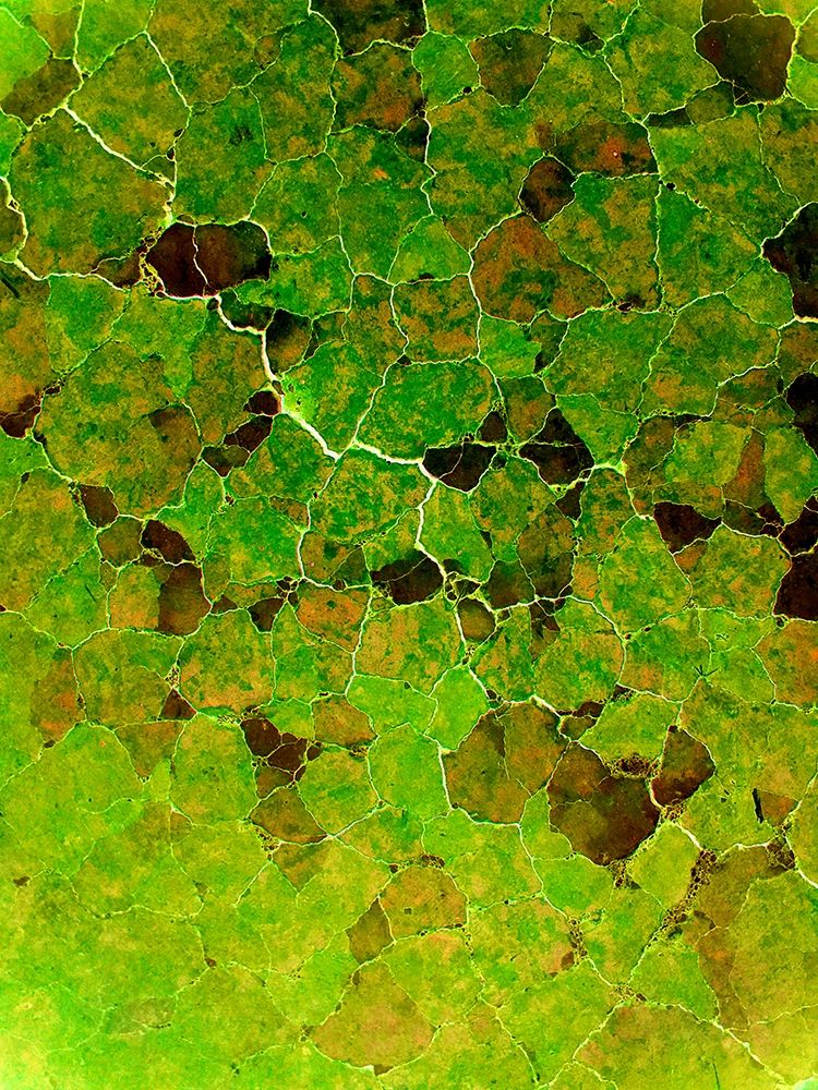 Natural Puzzles I art print by Grayscale for $57.95 CAD