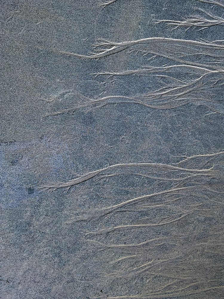 Sand Fibers I art print by Grayscale for $57.95 CAD