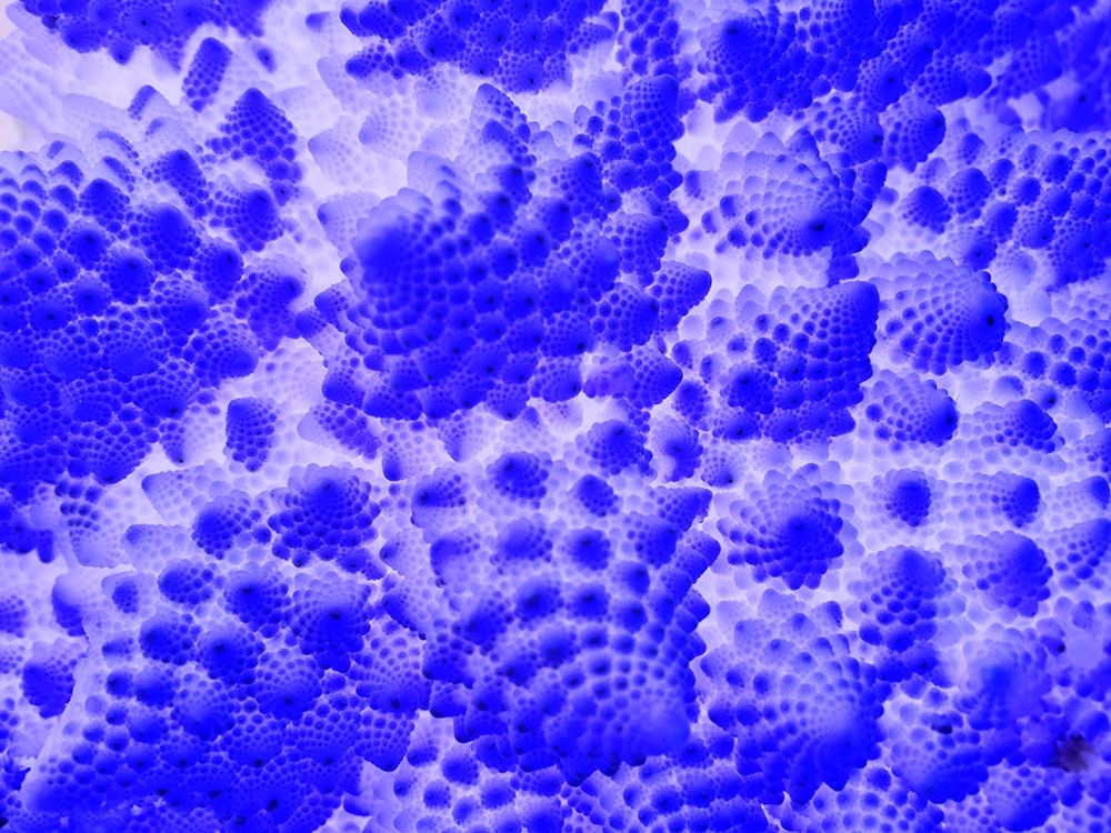 Fractal Clouds II art print by Grayscale for $57.95 CAD