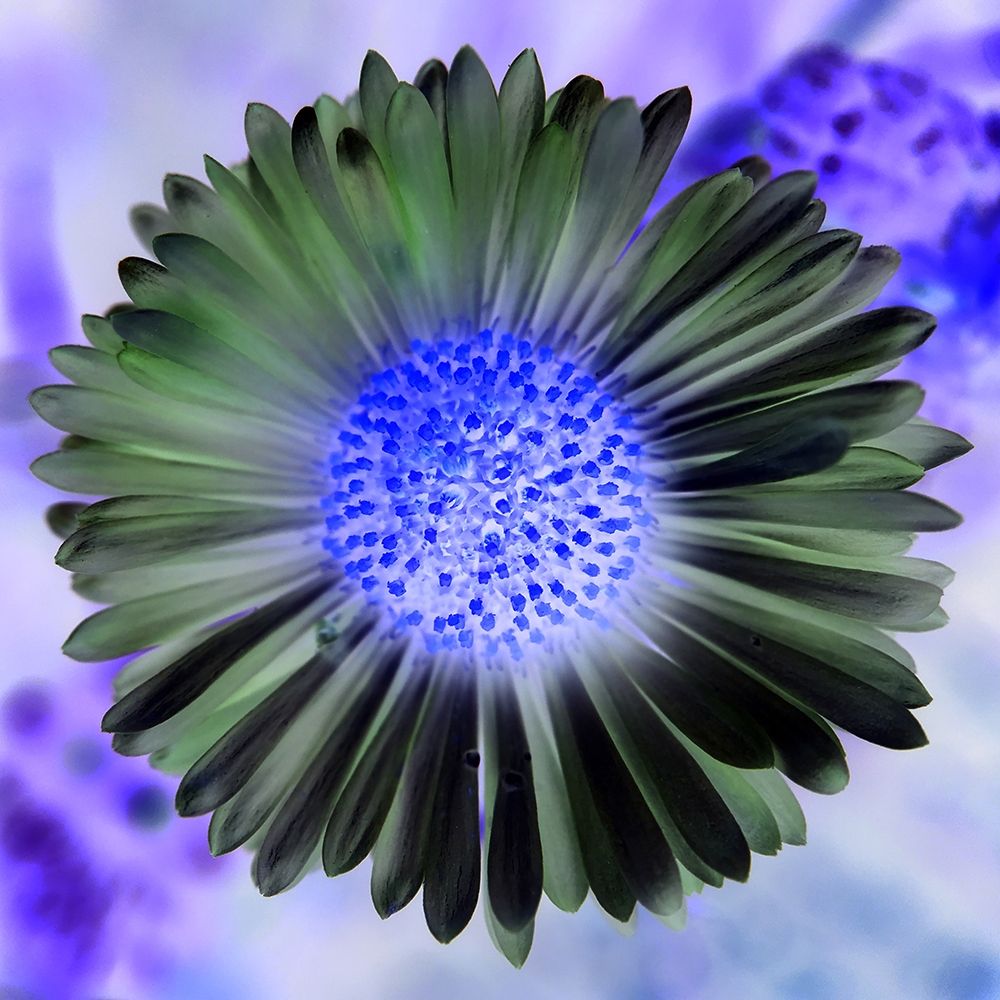 Green Flower I art print by Grayscale for $57.95 CAD