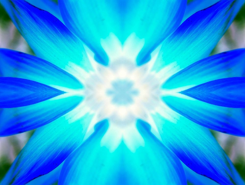 Flower Medallion V art print by Grayscale for $57.95 CAD