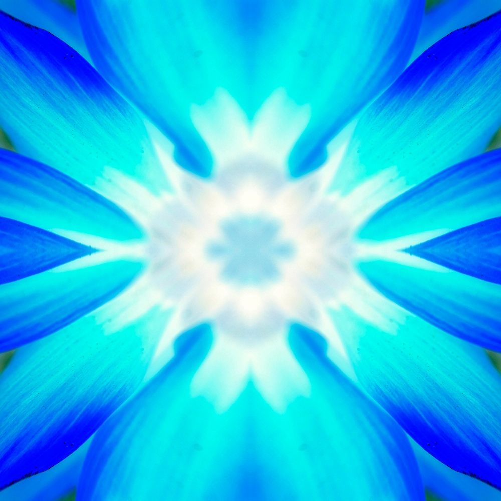 Flower Medallion IV art print by Grayscale for $57.95 CAD