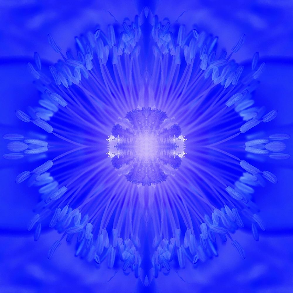Flower Medallion I art print by Grayscale for $57.95 CAD