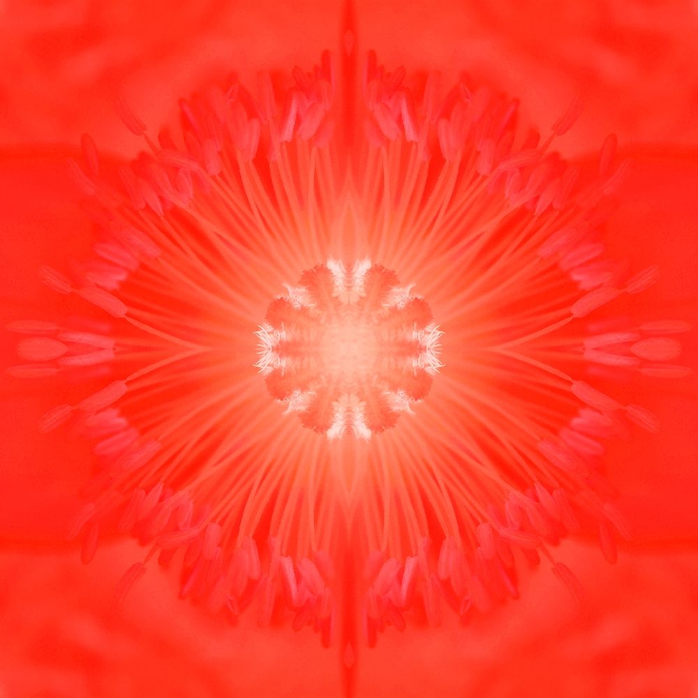 Flower Medallion III art print by Grayscale for $57.95 CAD
