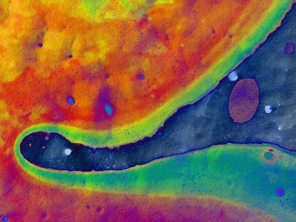 Bio Rainbow I art print by Grayscale for $57.95 CAD