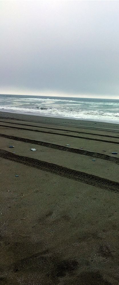 Beach Tracks I art print by Grayscale for $57.95 CAD