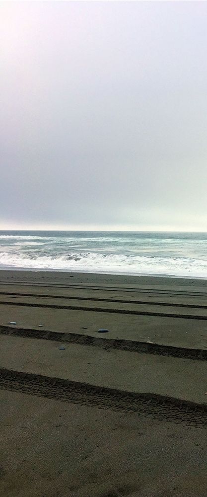 Beach Tracks II art print by Grayscale for $57.95 CAD