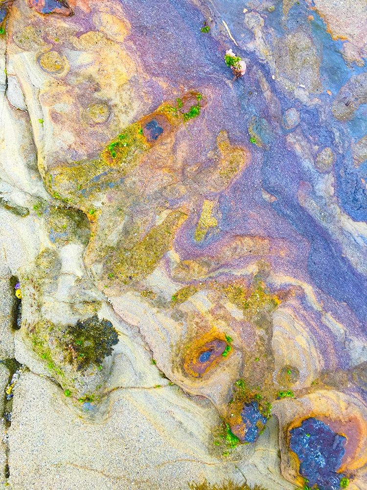 Oxidized Sand II art print by Grayscale for $57.95 CAD