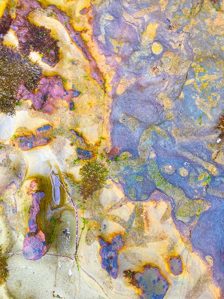 Oxidized Sand III art print by Grayscale for $57.95 CAD