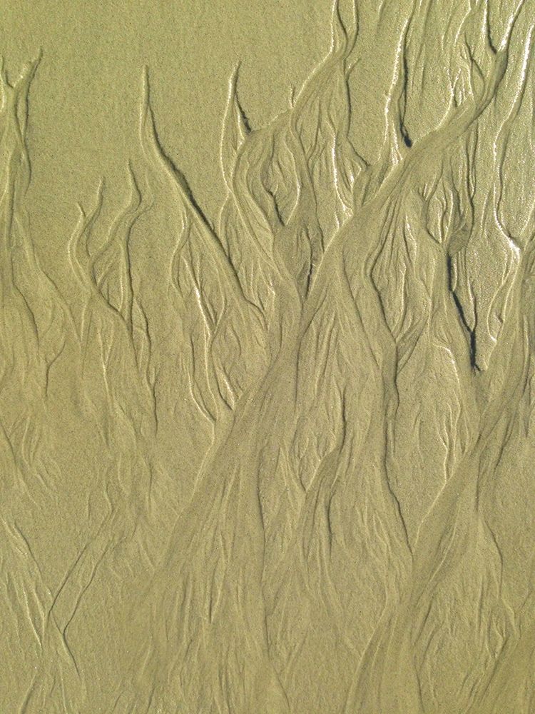 Wet Sand II art print by Grayscale for $57.95 CAD