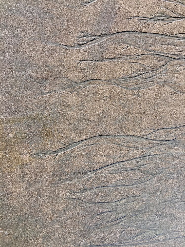 Wet Sand IV art print by Grayscale for $57.95 CAD