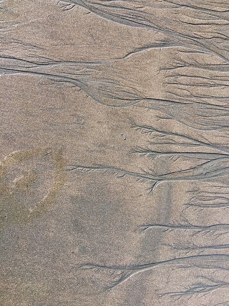 Wet Sand V art print by Grayscale for $57.95 CAD