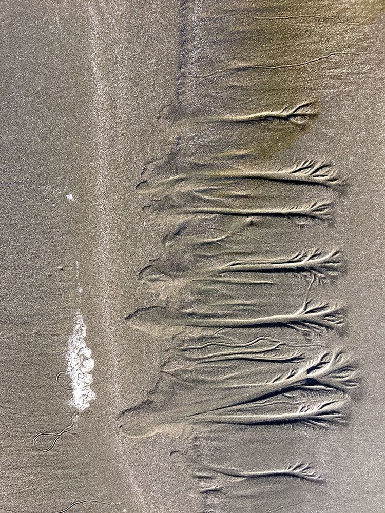 Wet Sand VI art print by Grayscale for $57.95 CAD