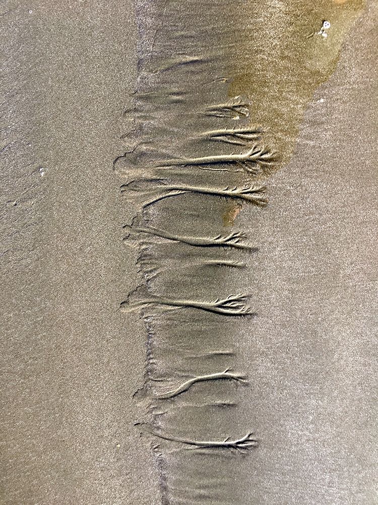 Wet Sand VII art print by Grayscale for $57.95 CAD