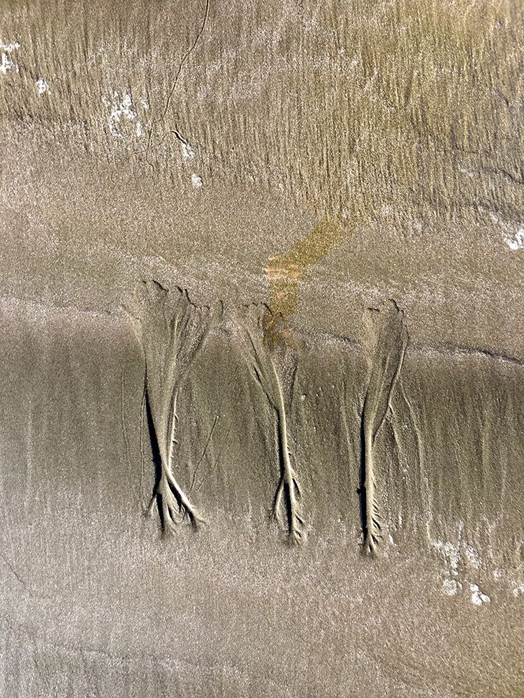 Wet Sand VIII art print by Grayscale for $57.95 CAD