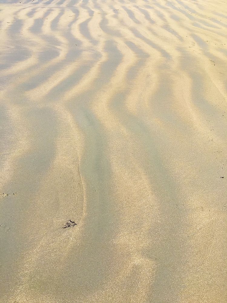 Sand Prints VI art print by Grayscale for $57.95 CAD