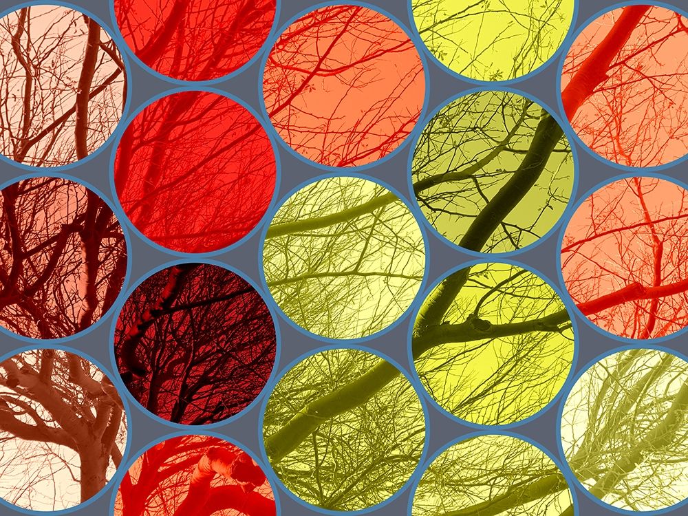 Circle Textures IV art print by Grayscale for $57.95 CAD