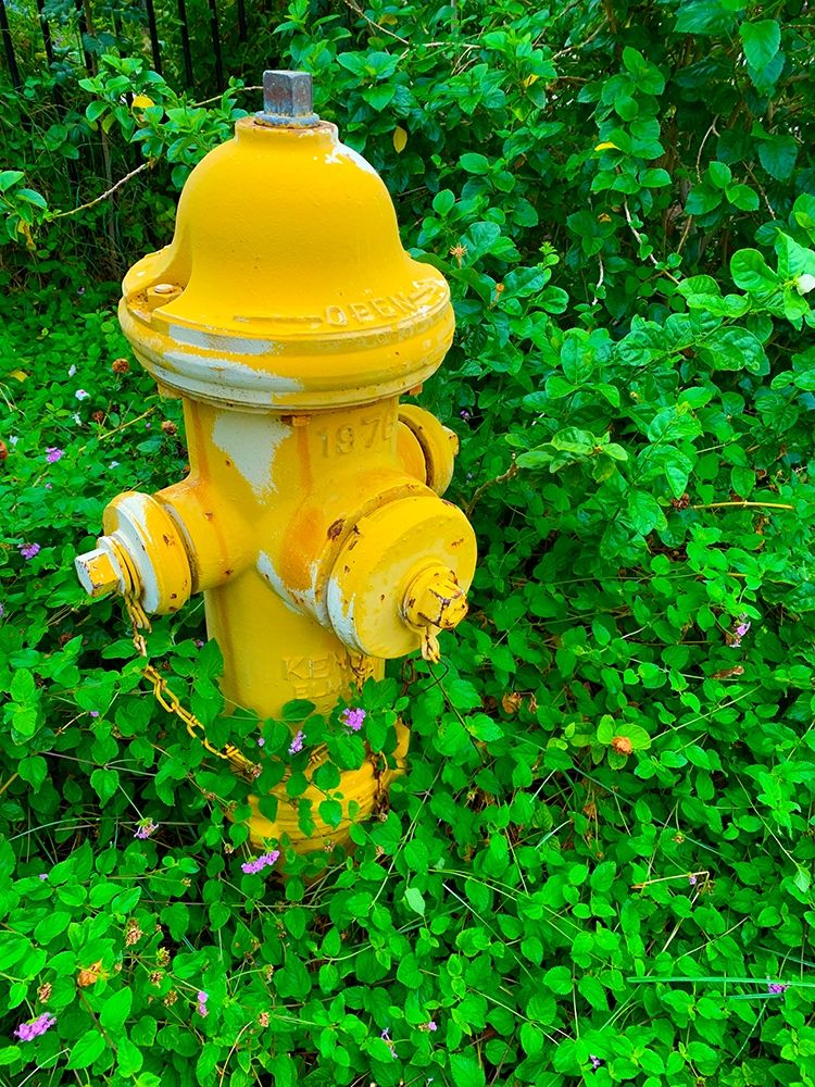 Cozy Hydrant art print by Grayscale for $57.95 CAD