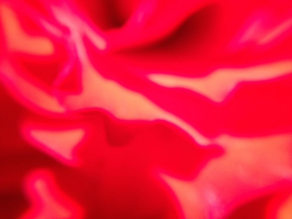 Rose Petal I art print by Grayscale for $57.95 CAD