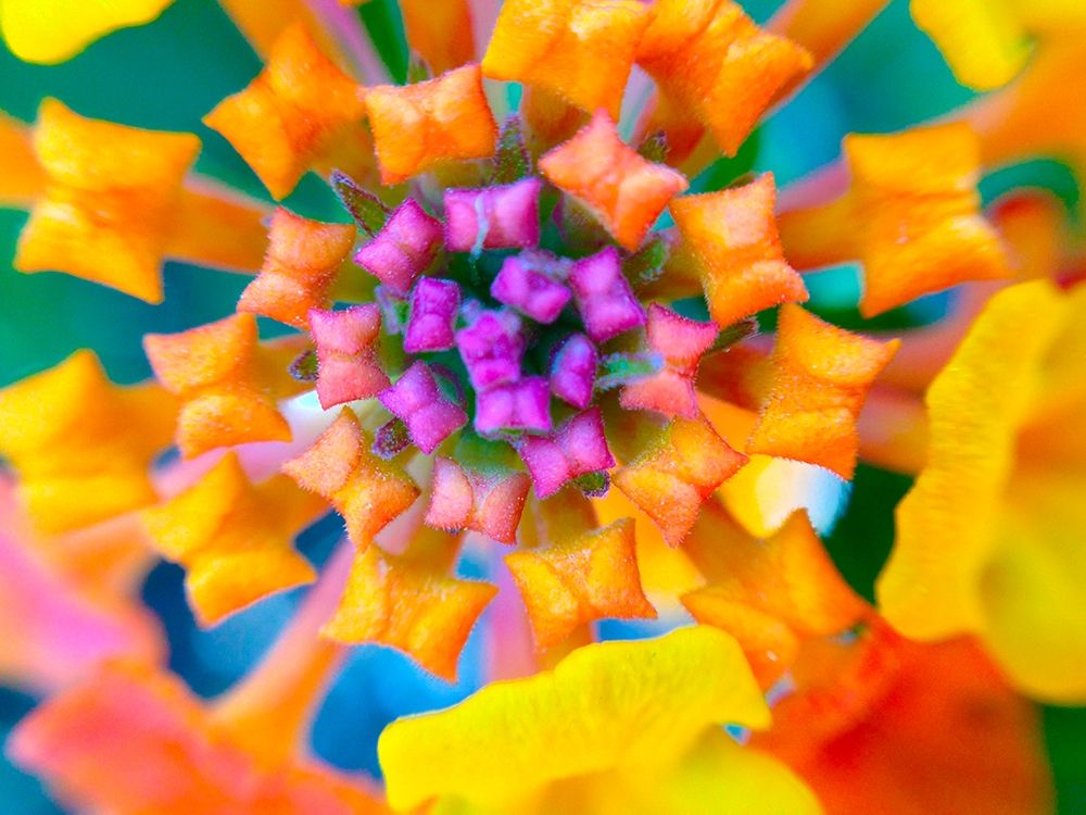 Kaleidoscope IV art print by Grayscale for $57.95 CAD