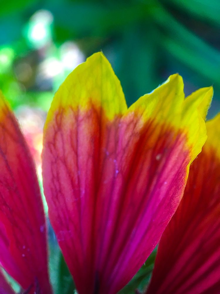 Yellow Tips I art print by Grayscale for $57.95 CAD